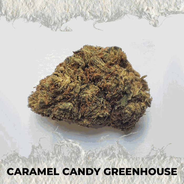 Caramel Candy Greenhouse
