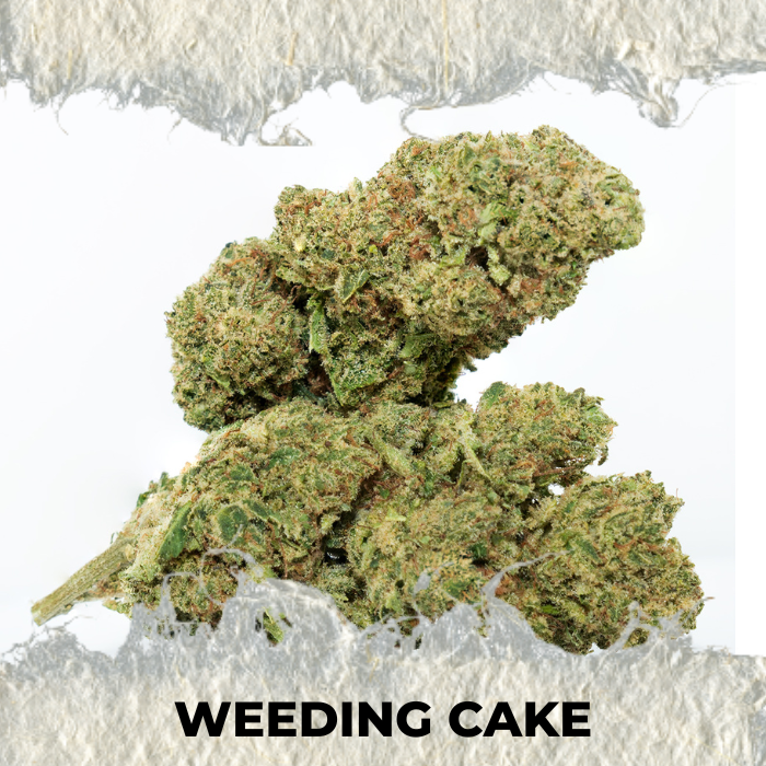 Flor CBD Weeding Cake Interior Premium - SUPERCBD - SUPERCBD
