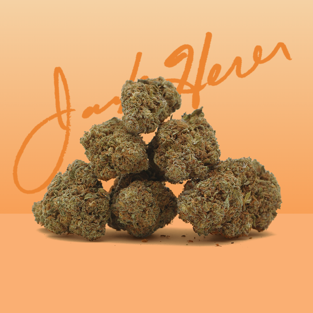 Indoor Jack herer cbd