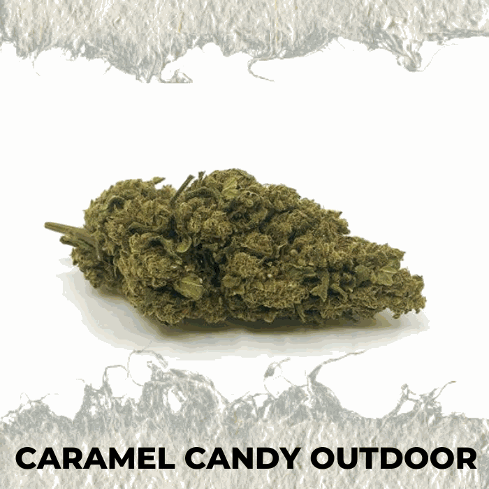 Caramel Candy Outdoor - SUPERCBD