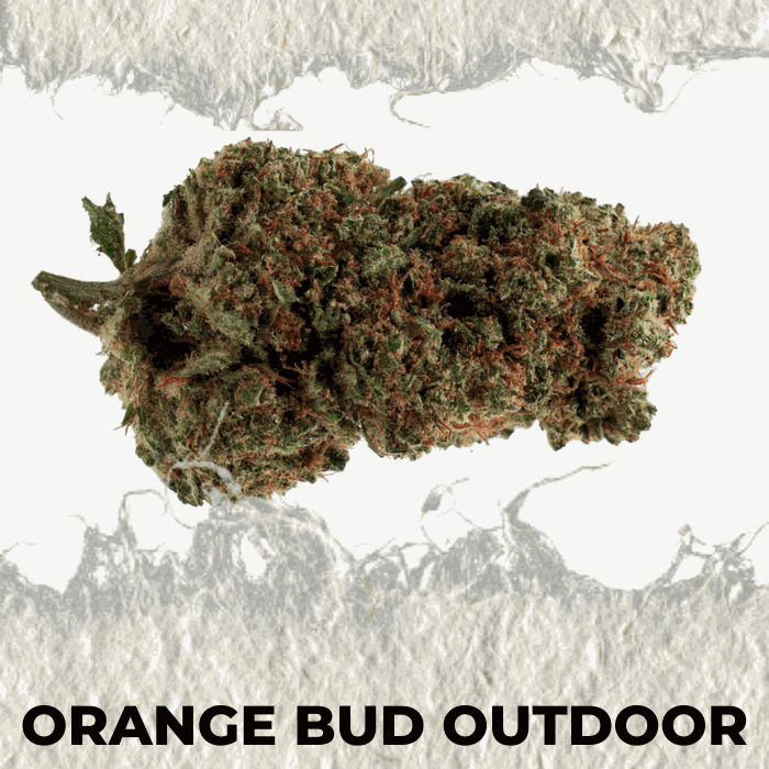 Orange Outdoor - SUPERCBD