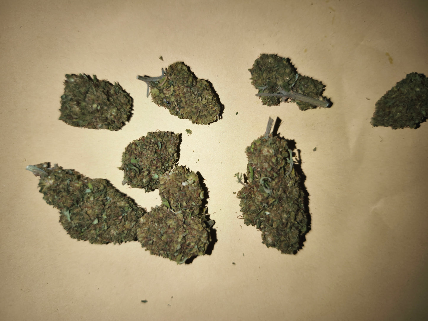 Bz1 Outdoor - SUPERCBD