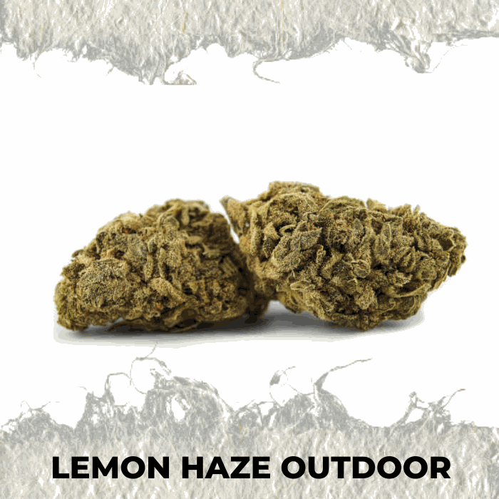 Lemon Haze Outdoor - SUPERCBD
