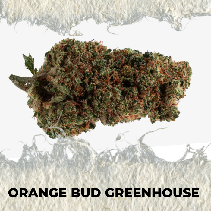 Orange Bud Greenhouse - SUPERCBD