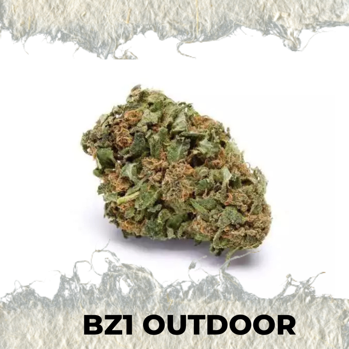 Bz1 Outdoor - SUPERCBD