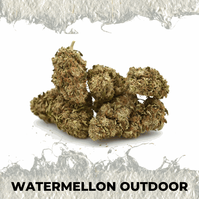 Watermellon Outdoor - SUPERCBD