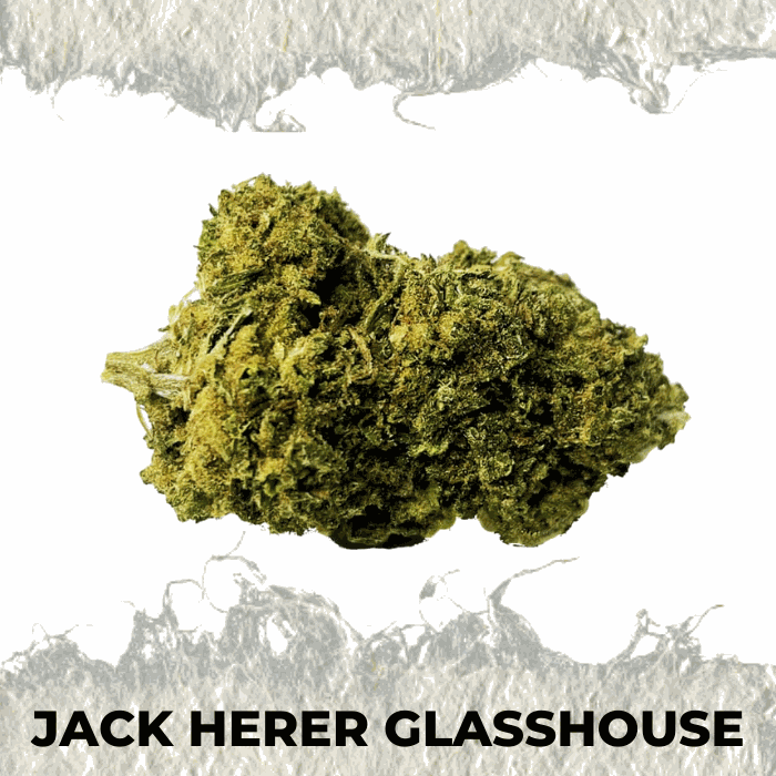 Jack Herer Glasshouse - SUPERCBD