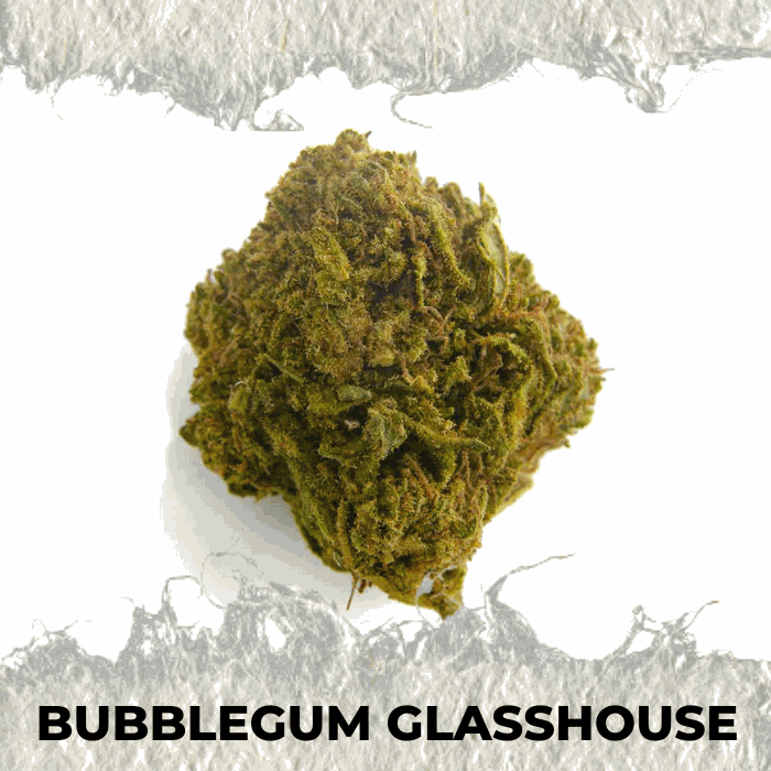 Bubblegum Glasshouse