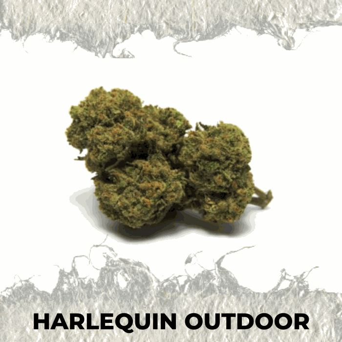 Harlequin Outdoor - SUPERCBD