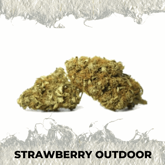 Strawberry Outdoor - SUPERCBD