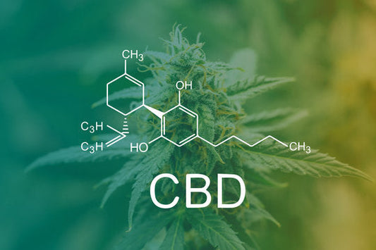"¡Descubre 10 formas de experimentar el poder del CBD en Almería!" "La mejor tienda de CBD en Almería: ¡Descubre por qué!" "¡Sé el aventurero de la ciudad con la tienda de CBD en Almería más emocionante!"