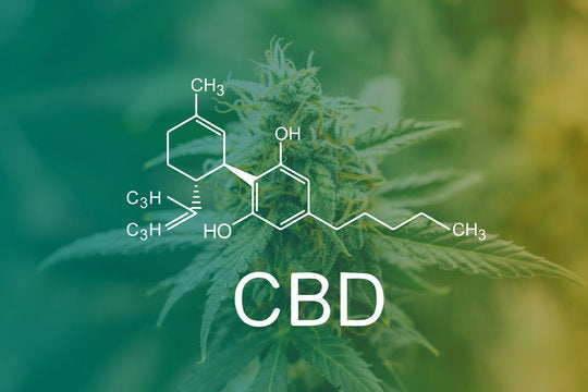 5 razones para comprar en la tienda de CBD en Almería