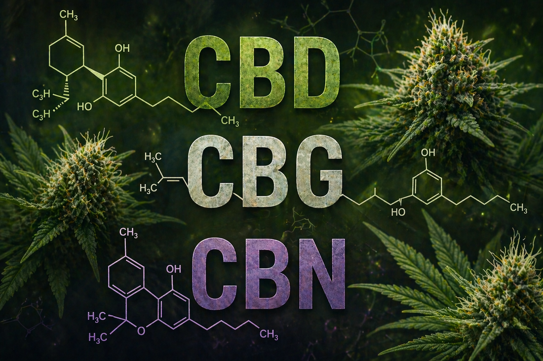 CBD, CBG y CBN: Diferencias entre Cannabinoides y Sus Beneficios