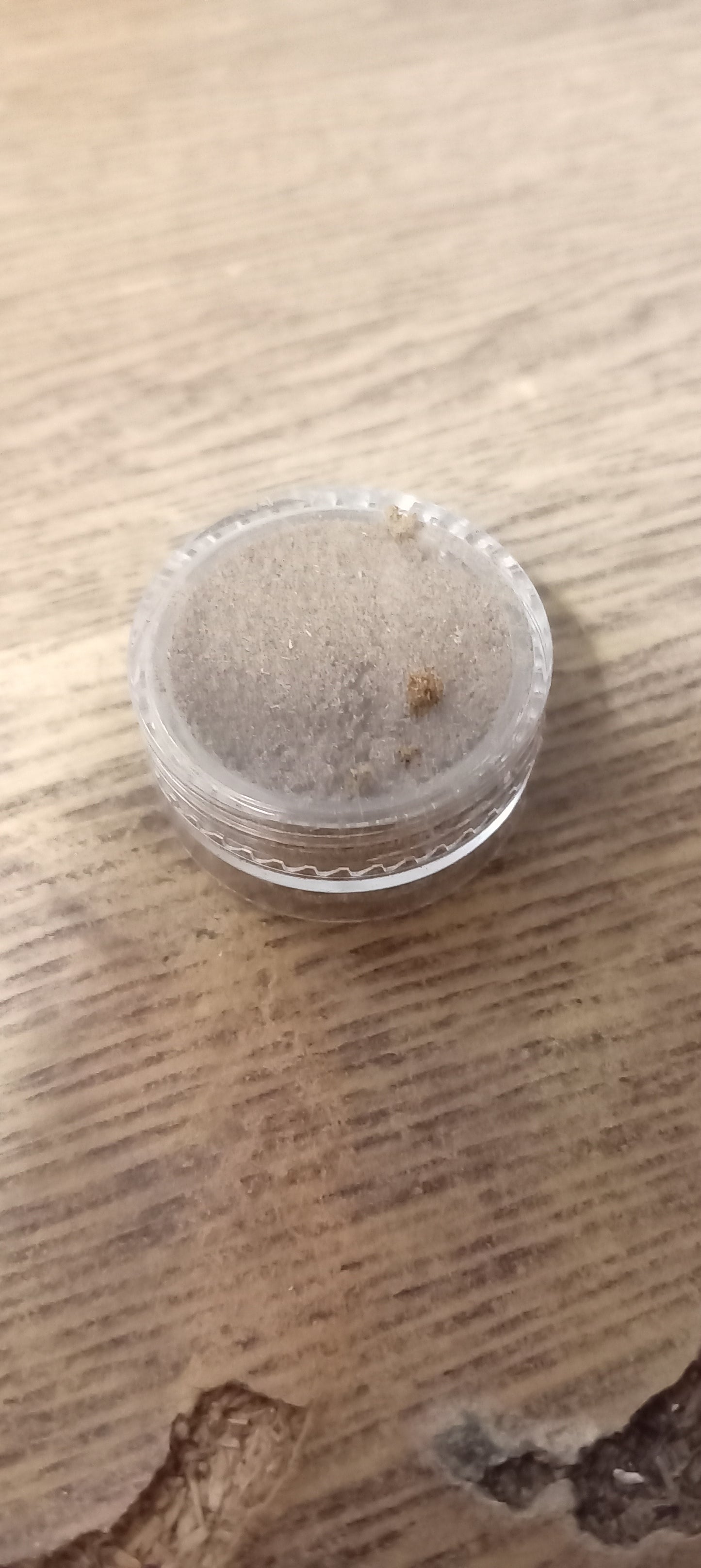 Polen de CBD Premium con Terpenos de Cannabis