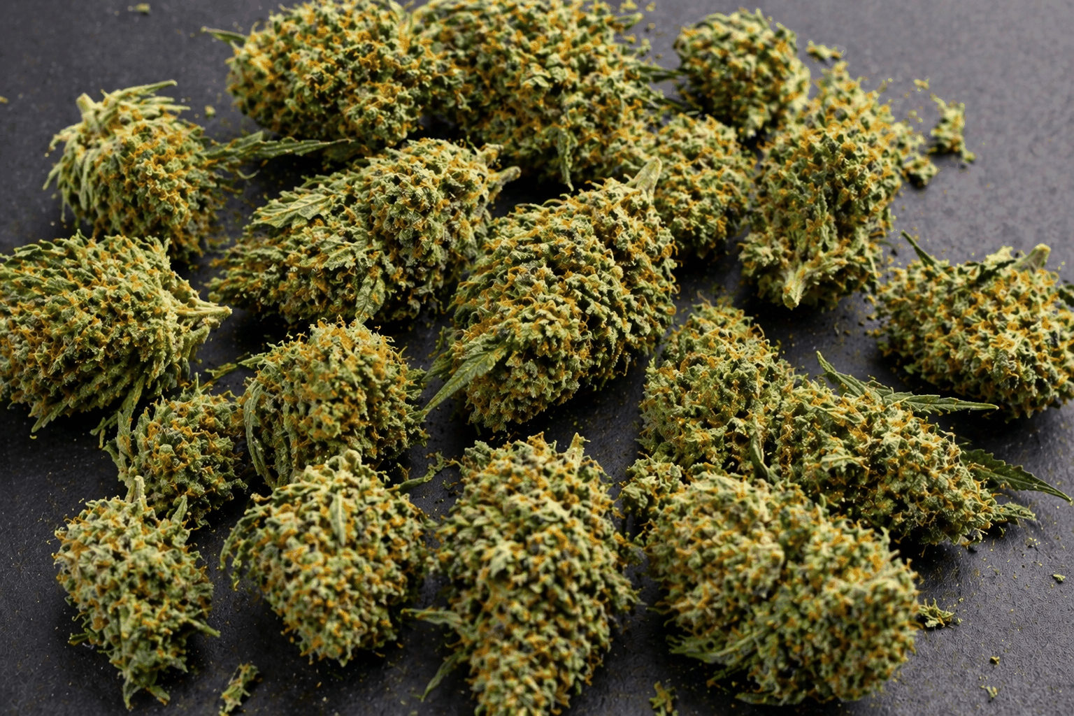 Sugar Dream Indoor CBD flowers with compact green buds, orange pistils, and resinous tricomes, grown indoors