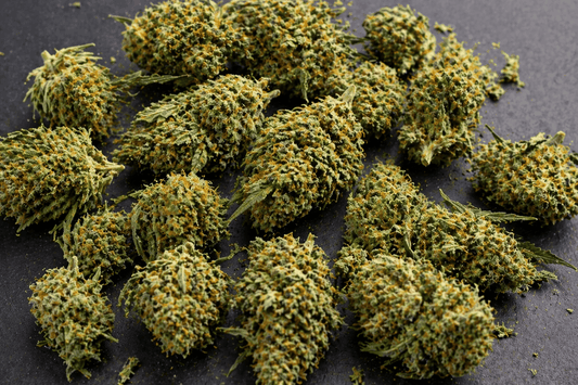 Sugar Dream Indoor CBD flowers with compact green buds, orange pistils, and resinous tricomes, grown indoors