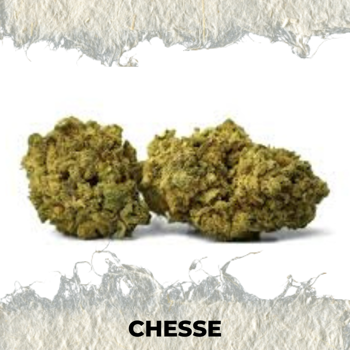 Flor CBD 2025 Cheese - SUPERCBD - SUPERCBD