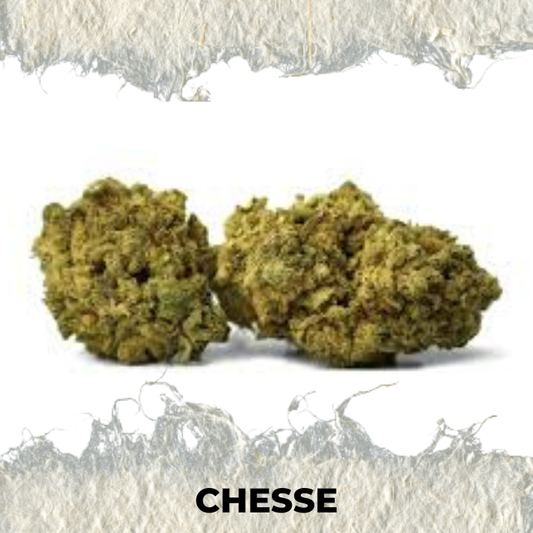 Flor CBD 2025 Cheese - SUPERCBD - SUPERCBD