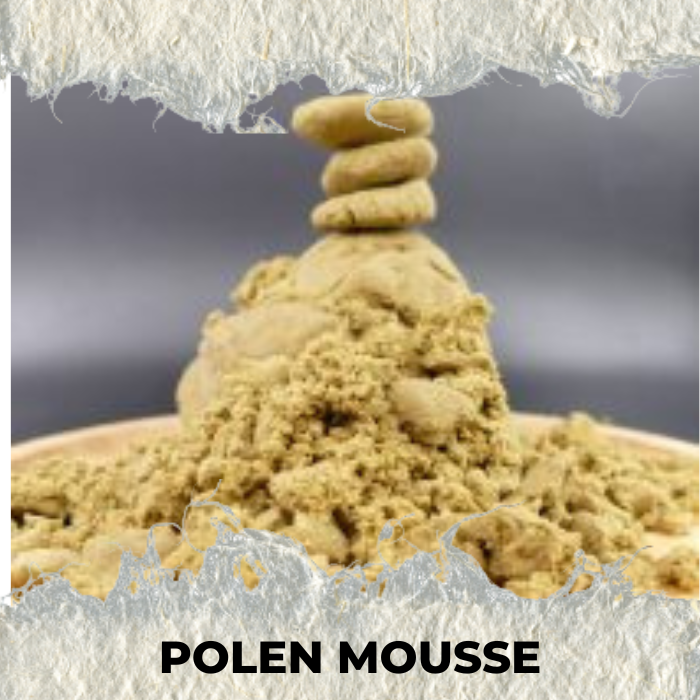 Polen CBD Mousse Compacto Premium - SUPERCBD - SUPERCBD