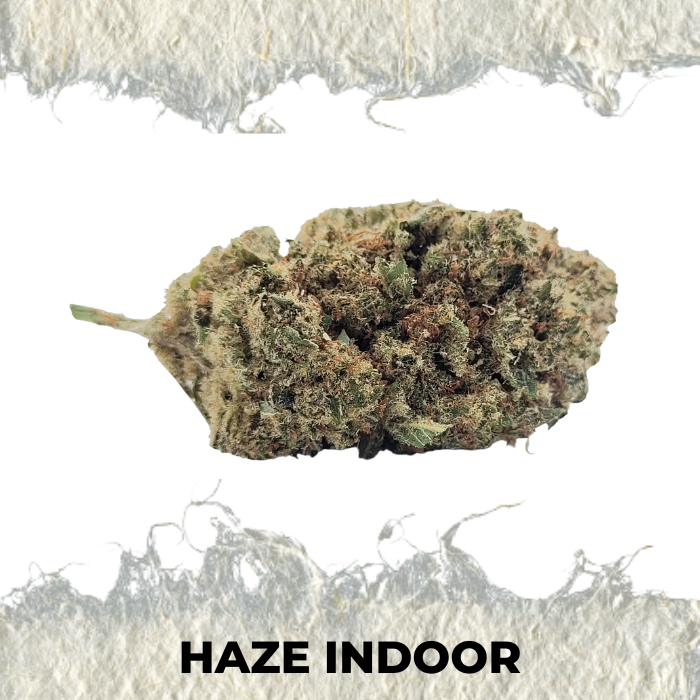 Flor CBD Haze Indoor Premium - SUPERCBD