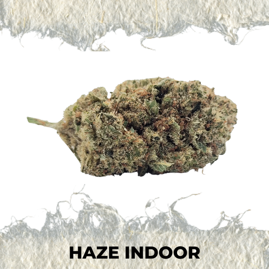 Flor CBD Haze Indoor Premium - SUPERCBD