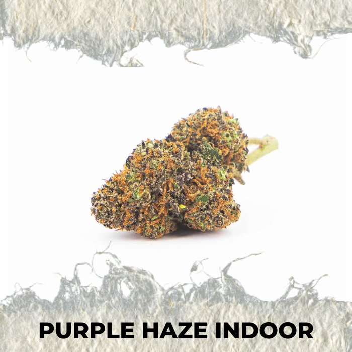 Flor CBD Indoor Purple Haze