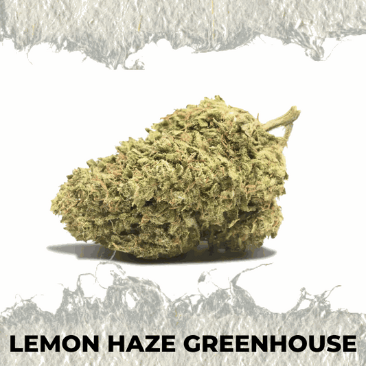 Lemon Haze Greenhouse