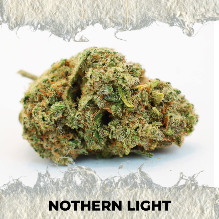Nother light cbd - Flor Indoor - SUPERCBD