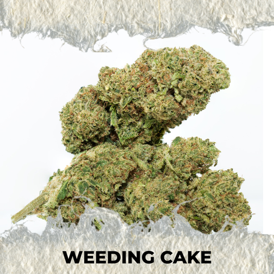Flor CBD Weeding Cake Interior Premium - SUPERCBD - SUPERCBD