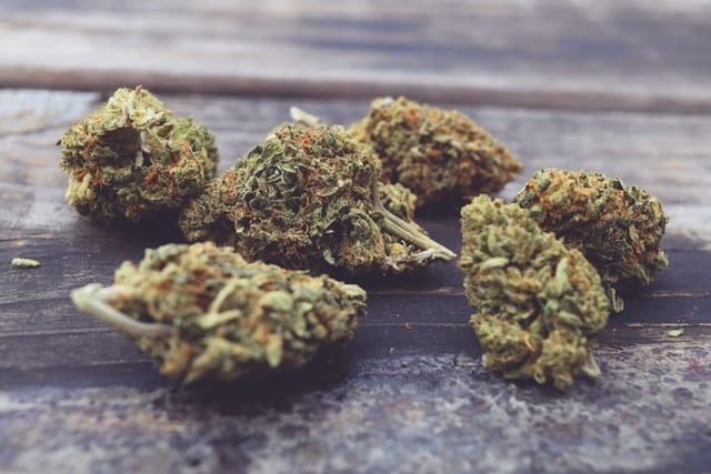 Sugar Dream - NOVEDAD - SUPERCBD