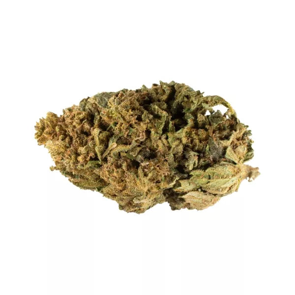 Charlotte - Calidad normal - SUPERCBD