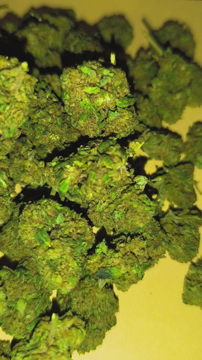 Bubblegum Glasshouse