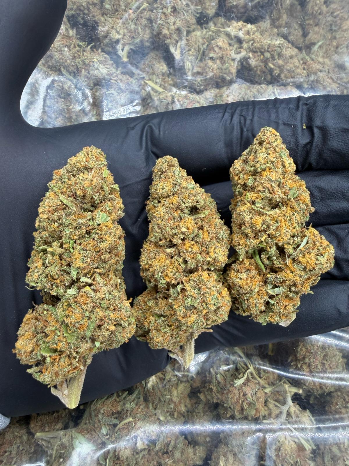 Caligrape Indoor - calidad premium - SUPERCBD