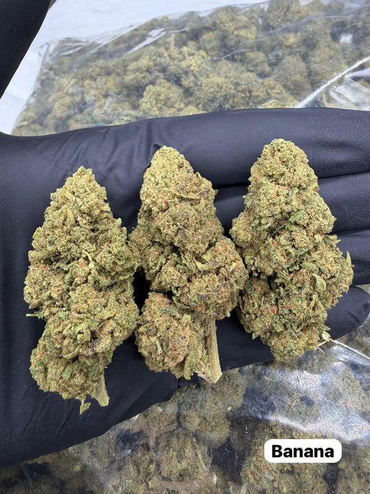 Banana Indoor - Calidad Premiun - SUPERCBD