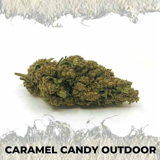 Caramel Candy Outdoor