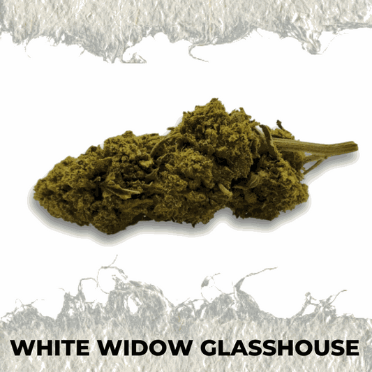 White Widow Glasshouse - SUPERCBD