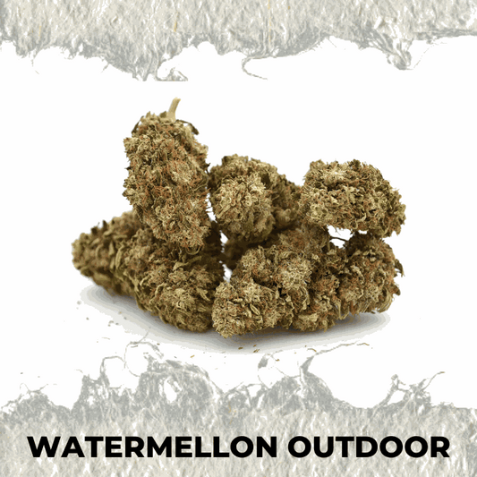 Watermellon Outdoor - SUPERCBD